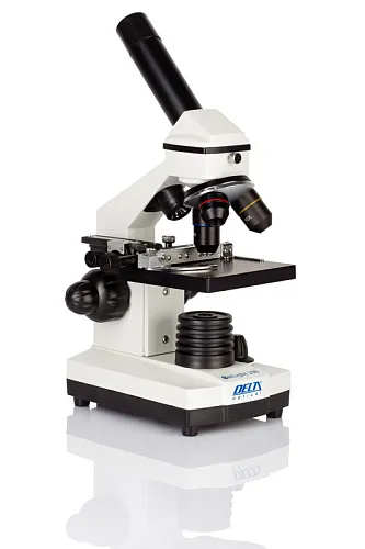 obraz Mikroskop Delta Optical BioLight 200 + ząb rekina