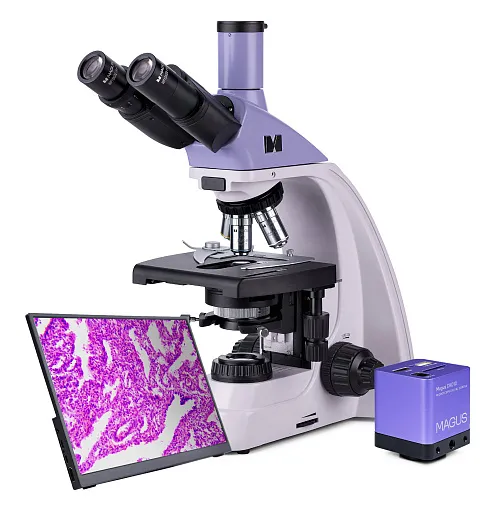 fotografia Mikroskop biologiczny cyfrowy MAGUS Bio D250T LCD