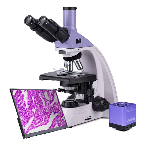 obraz Mikroskop biologiczny cyfrowy MAGUS Bio D250TL LCD