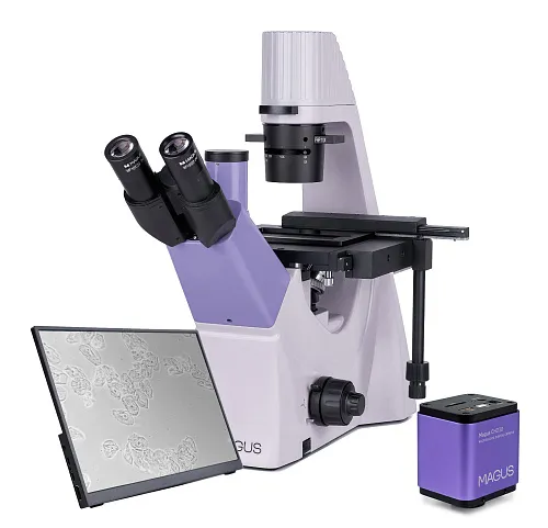 obraz Odwrócony mikroskop biologiczny cyfrowy MAGUS Bio VD300 LCD
