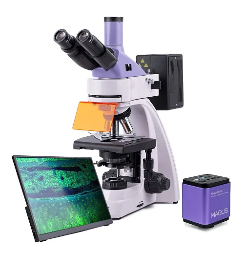 zdjęcie Mikroskop fluorescencyjny cyfrowy MAGUS Lum D400 LCD