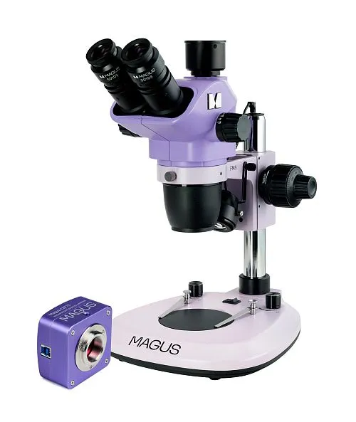 obraz Cyfrowy mikroskop stereoskopowy MAGUS Stereo D8T PLUS