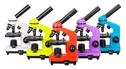 fotografia Mikroskop Levenhuk Rainbow 2L