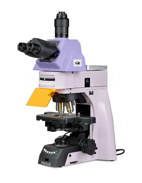 foto Mikroskop fluorescencyjny MAGUS Lum 490L,  1