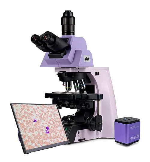 obraz Cyfrowy mikroskop biologiczny MAGUS Bio D290T LCD,  1