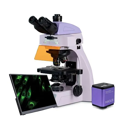obraz Cyfrowy mikroskop fluorescencyjny MAGUS Lum D450L LCD,  1