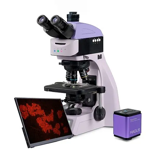 fotografia Cyfrowy mikroskop fluorescencyjny MAGUS Lum D460L LCD,  1
