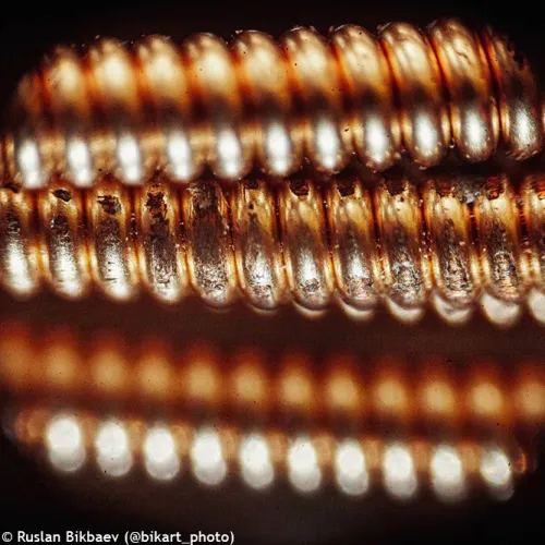 fotografia Mikroskop cyfrowy Levenhuk Rainbow D50L PLUS 2M, Moonstone\Kamień księżycowy,  20