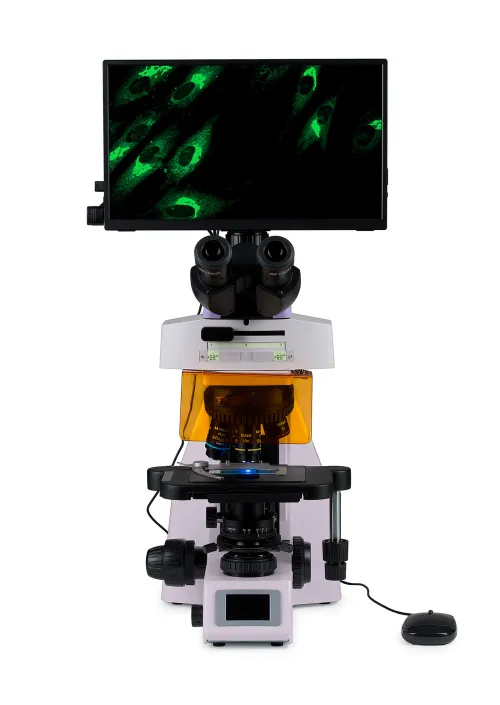 obraz Cyfrowy mikroskop fluorescencyjny MAGUS Lum D450L LCD,  8