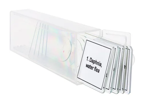 foto Zestaw mikropreparatów Levenhuk Discovery Prof DPS 5. „Życie w kropli wody”,  5
