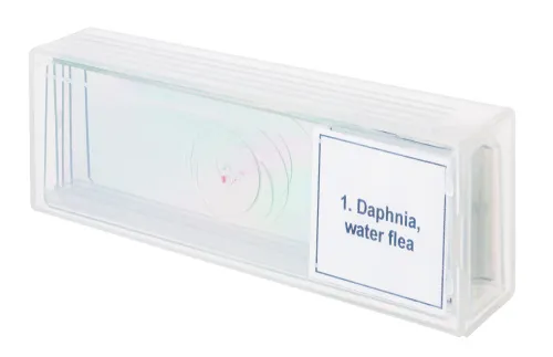 foto Zestaw mikropreparatów Levenhuk Discovery Prof DPS 5. „Życie w kropli wody”,  4