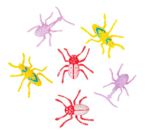 fotografia Zestaw młodego badacza Levenhuk Discovery Basics EK70,  12