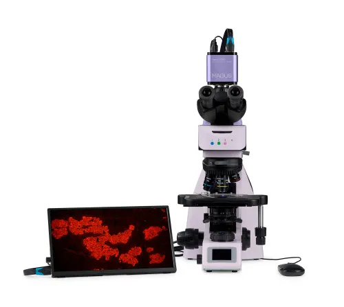 fotografia Cyfrowy mikroskop fluorescencyjny MAGUS Lum D460L LCD,  10