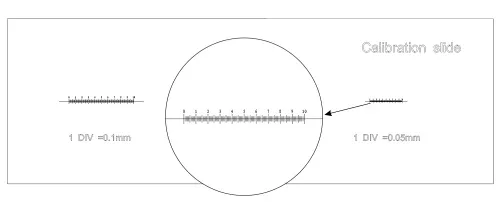 fotografia Preparat kalibracyjny MAGUS CS3 (0,01/0,05/0,1),  6
