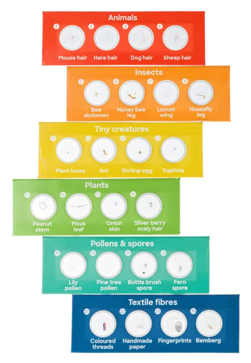 zdjęcie Zestaw 24 preparatów Levenhuk Discovery Flora i Fauna,  3