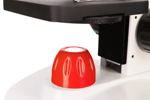 obraz Mikroskop Levenhuk Discovery Pico,  13