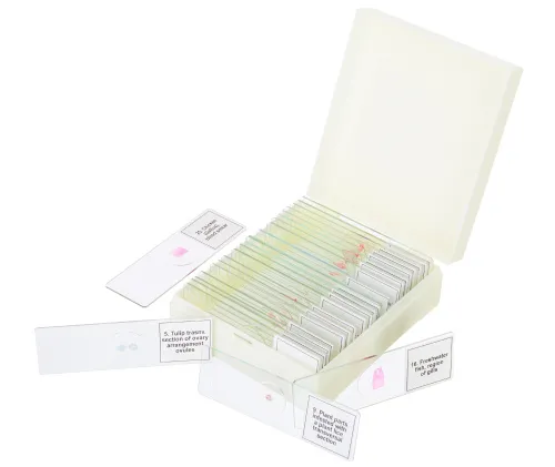 fotografia Zestaw mikropreparatów Levenhuk Discovery Prof DPS 25. „Biologia, ptaki itp.”,  5