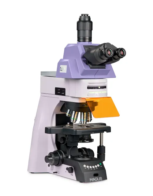foto Mikroskop fluorescencyjny MAGUS Lum 490L,  2