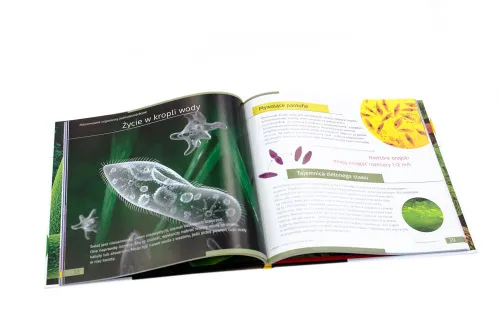 zdjęcie Niewidoczny świat. Skarbnica wiedzy. Twarda oprawa,  4