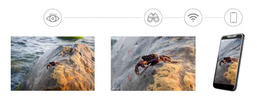 fotografia Cyfrowy fotomonokular Levenhuk Kelvin Snap ED 8x42,  6