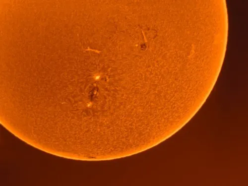 foto Teleskop słoneczny Coronado SolarMax III 70 mm z systemem RichView i BF10,  6