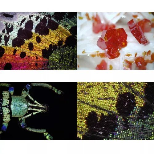 foto Mikroskop cyfrowy z portem USB Bresser DST1028 ,  4