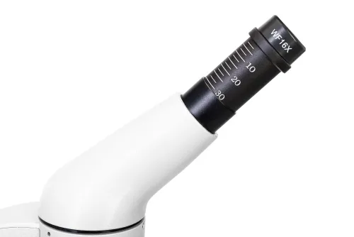 fotografia Mikroskop cyfrowy Levenhuk Rainbow D50L PLUS 2M, Moonstone\Kamień księżycowy,  9