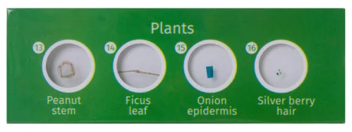 obraz Zestaw preparatów roślinnych Levenhuk LabZZ P12,  2