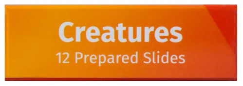 fotografia Zestaw preparatów zwierzęcych Levenhuk LabZZ C12,  8