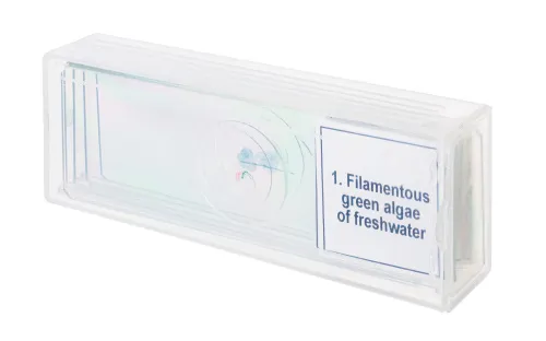 foto Zestaw mikropreparatów Levenhuk Discovery Prof DPS 5. „Biologia”,  4