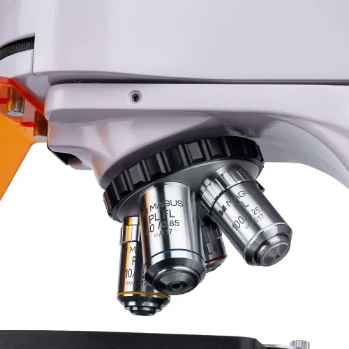 obraz Mikroskop fluorescencyjny cyfrowy MAGUS Lum D400L LCD,  13