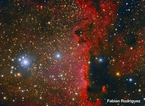 zdjęcie Tubus optyczny Meade 12" F/8 ACF,  10