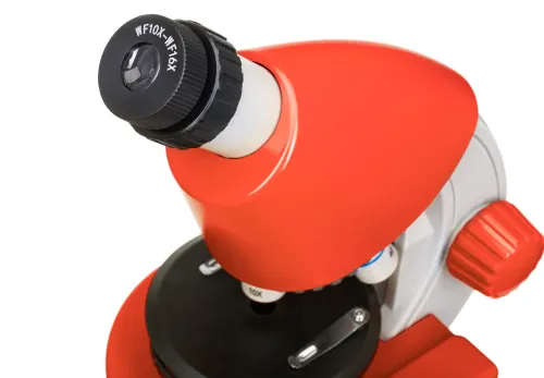 foto Mikroskop Levenhuk Discovery Micro z książką,  11