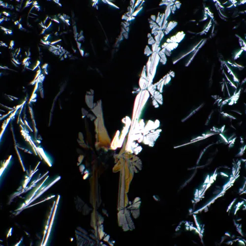 obraz Zestaw polaryzator/analizator MAGUS SPD3,  7