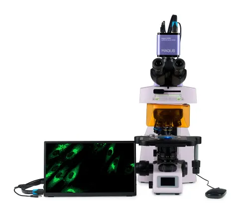obraz Cyfrowy mikroskop fluorescencyjny MAGUS Lum D450L LCD,  9