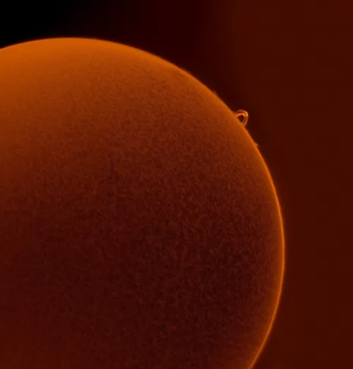 foto Teleskop słoneczny Coronado SolarMax III 70 mm z systemem RichView i BF10,  7