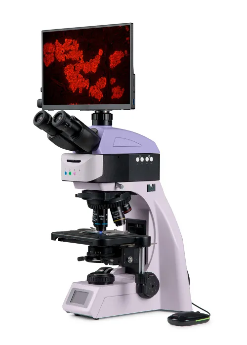 fotografia Cyfrowy mikroskop fluorescencyjny MAGUS Lum D460L LCD,  2
