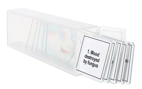 obraz Zestaw mikropreparatów Levenhuk Discovery Prof DPS 5. „Mutacje”,  5