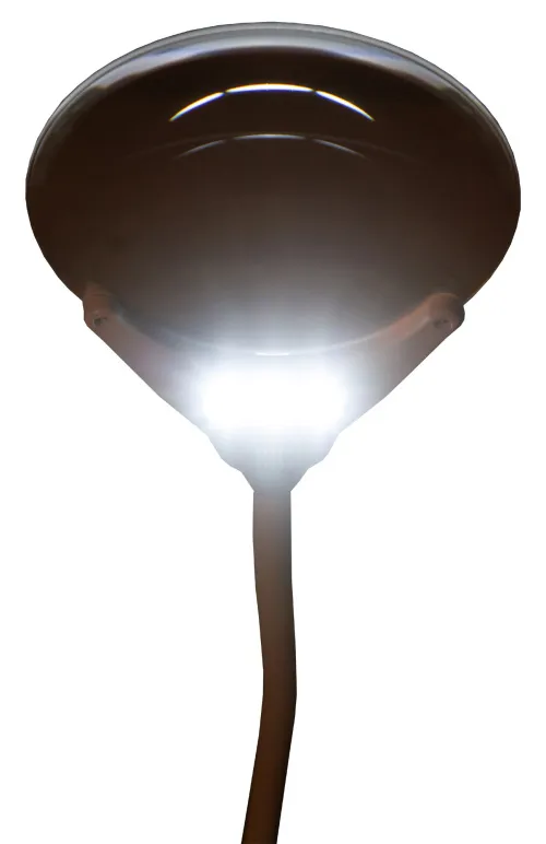 zdjęcie Lupa Levenhuk Zeno Lamp ZL7,  11