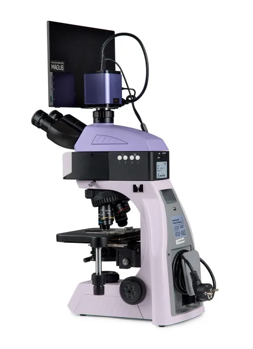 fotografia Cyfrowy mikroskop fluorescencyjny MAGUS Lum D460L LCD,  5