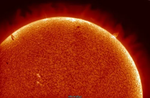 zdjęcie Teleskop słoneczny Double Stack Coronado SolarMax II 60 mm z systemem RichView i BF15,  2