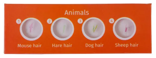 fotografia Zestaw preparatów zwierzęcych Levenhuk LabZZ C12,  2