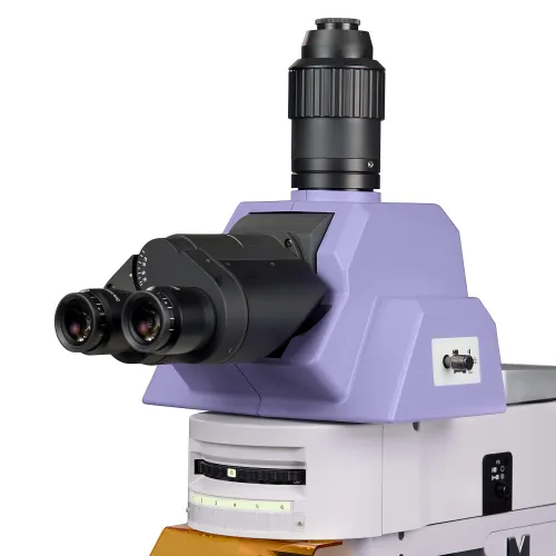 foto Mikroskop fluorescencyjny MAGUS Lum 490L,  9