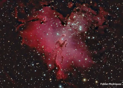 zdjęcie Tubus optyczny Meade 12" F/8 ACF,  6