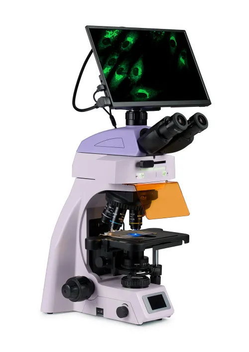 obraz Cyfrowy mikroskop fluorescencyjny MAGUS Lum D450L LCD,  3