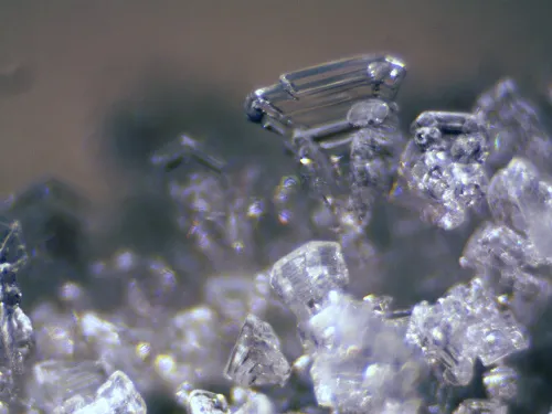 fotografia Mikroskop stereoskopowy Bresser Erudit ICD,  12