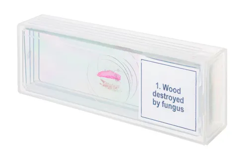 obraz Zestaw mikropreparatów Levenhuk Discovery Prof DPS 5. „Mutacje”,  4