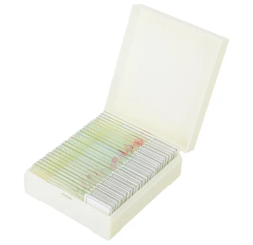 fotografia Zestaw mikropreparatów Levenhuk Discovery Prof DPS 25. „Biologia, ptaki itp.”,  7