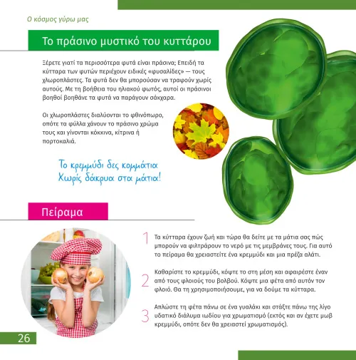 obraz Mikroskop Levenhuk Discovery Atto Polar z książką,  5