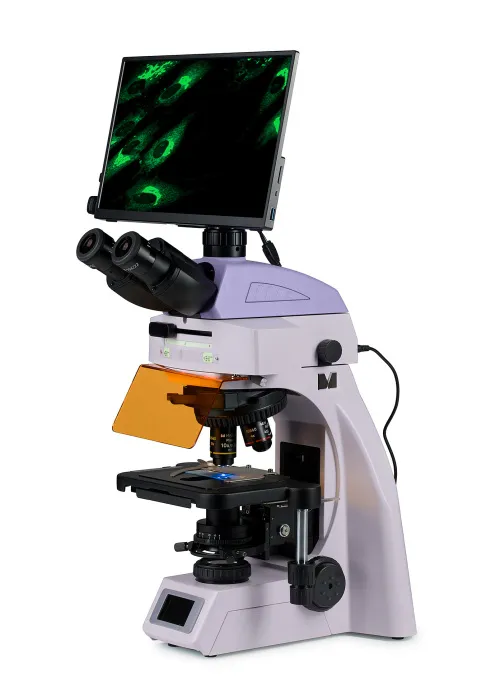 obraz Cyfrowy mikroskop fluorescencyjny MAGUS Lum D450L LCD,  2